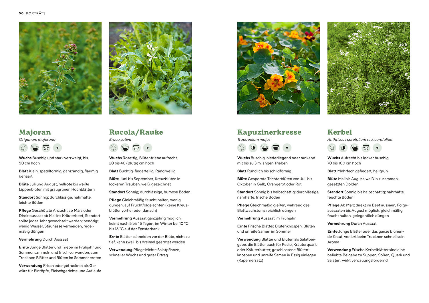 Herb Garden
