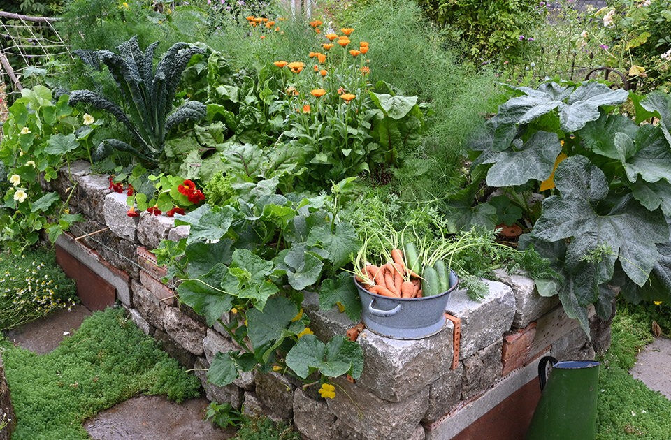 Gartenpraxis leicht gemacht