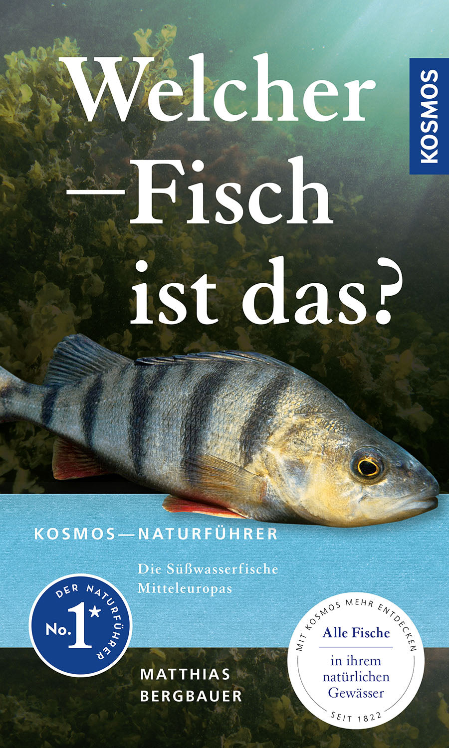 What fish is that?
