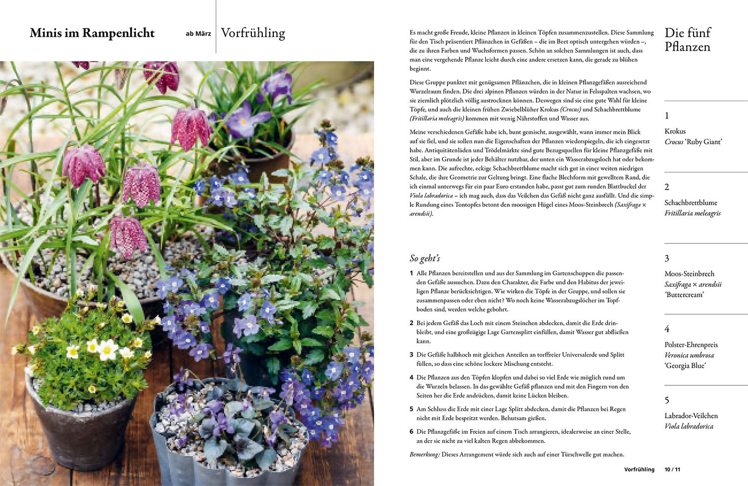 Make it simple with 5 plants