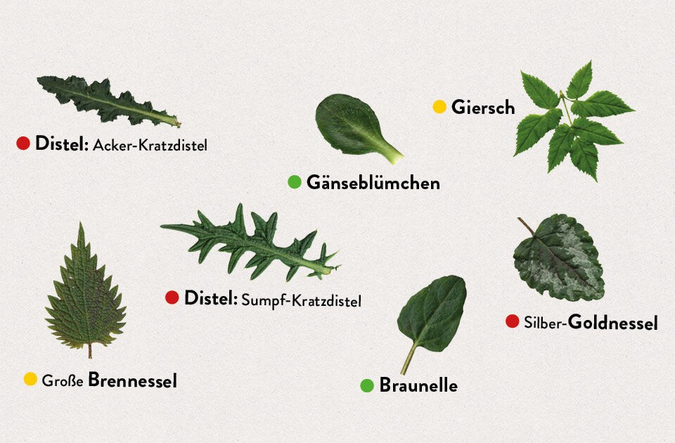 Fördern, dulden oder jäten?