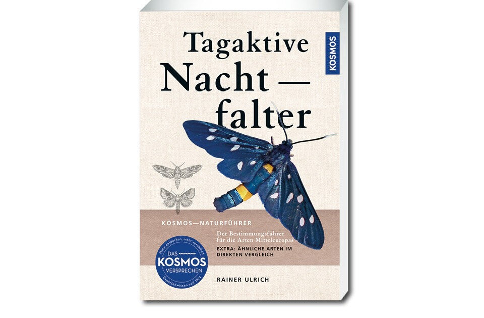 Die bunte Vielfalt der heimischen Nachtfalter