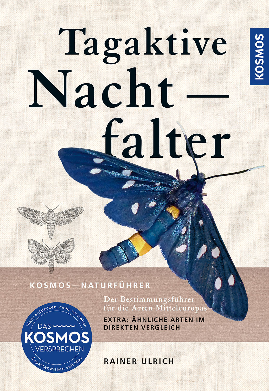 Diurnal moths