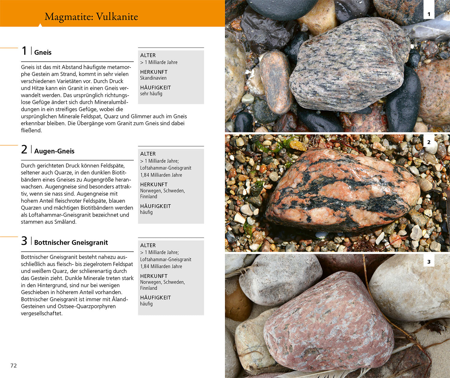 Stones on Rivers, Beaches and Coasts