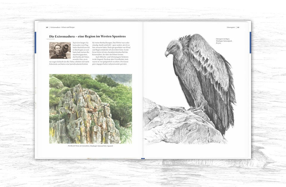 Einzigartige Einblicke in die Welt der Vögel