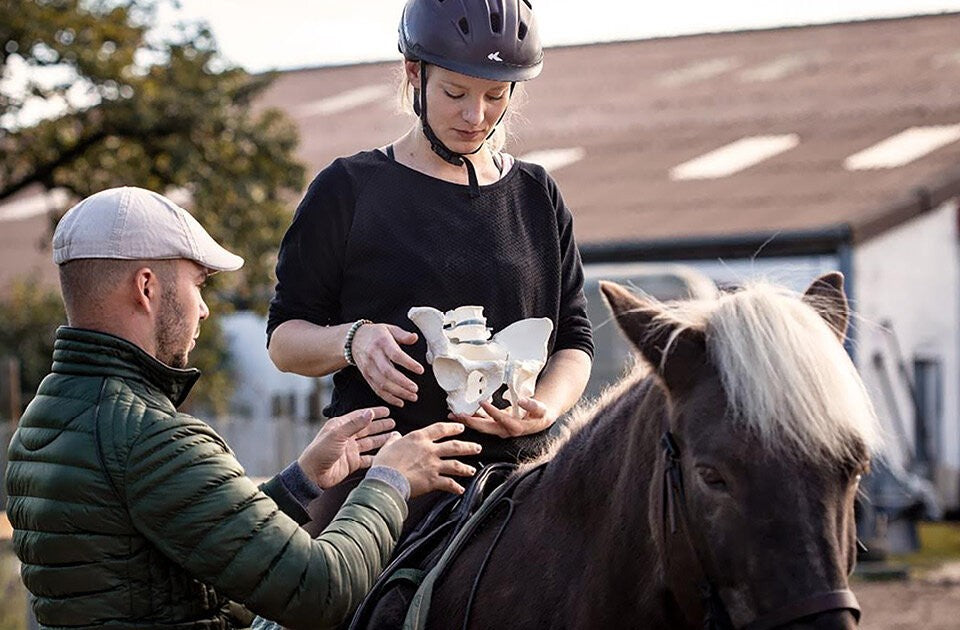 Für alle, die mehr wollen als nur reiten