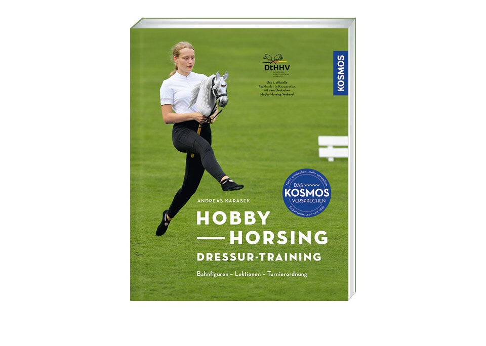 Dein Hobby Horsing Guide