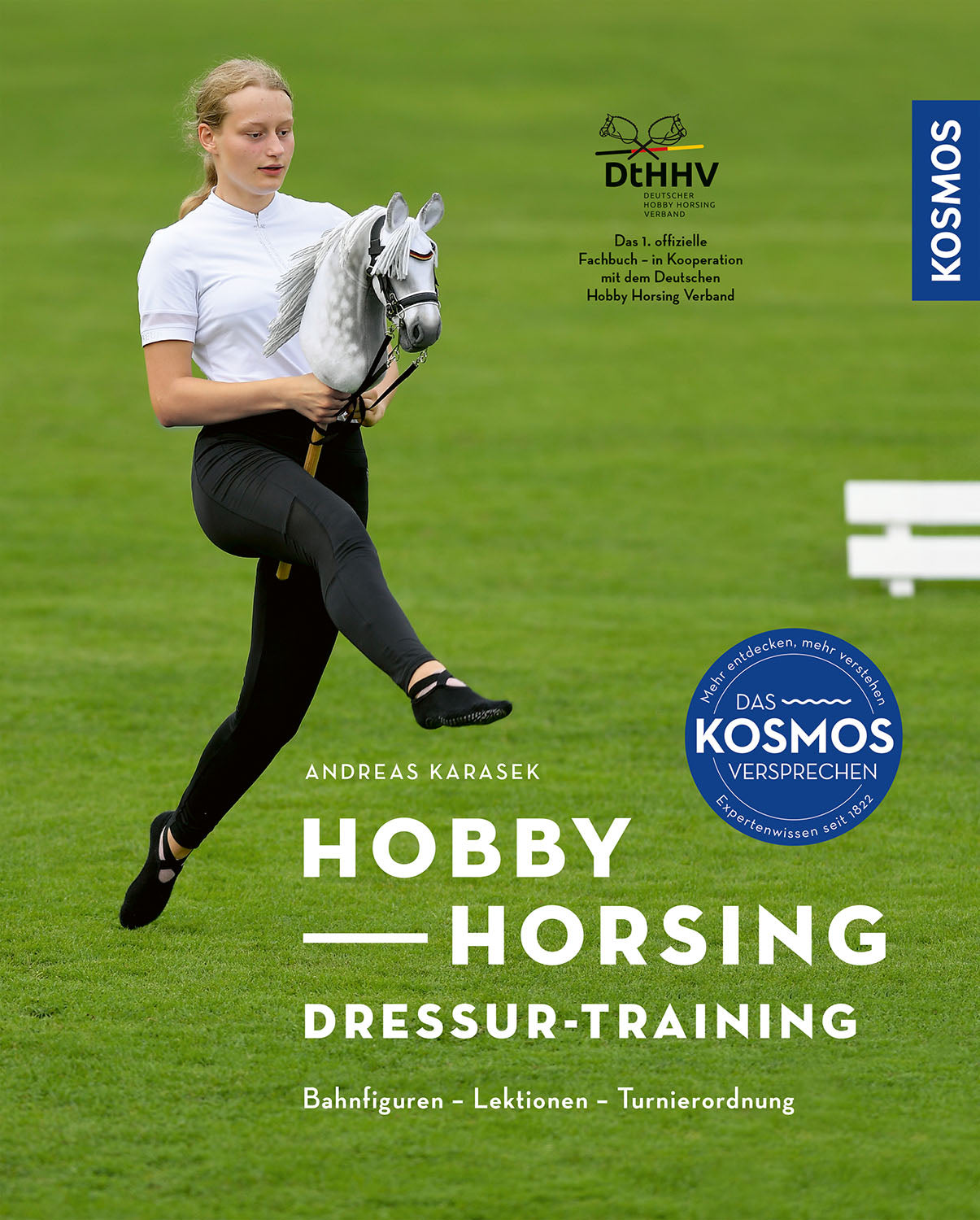Hobby Horse Dressage Training