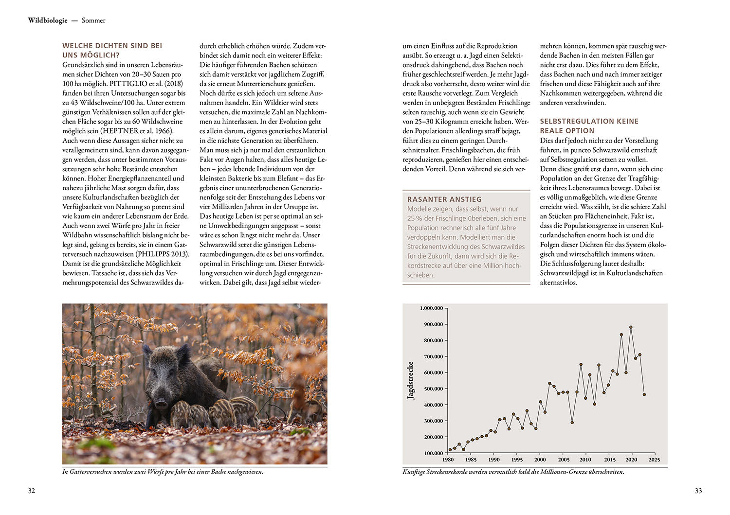 Hunting Wild Boar - with Heart and Mind