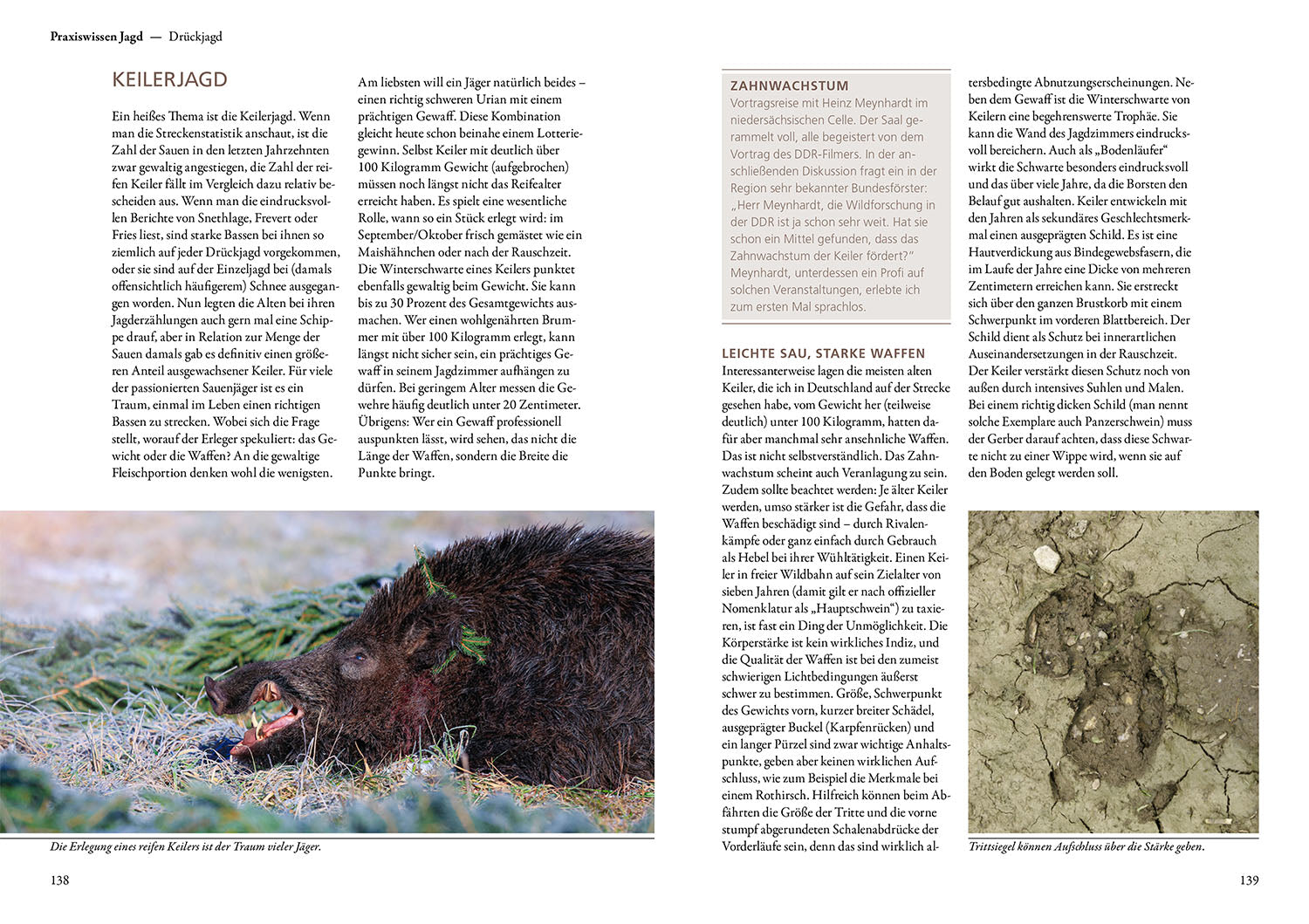 Hunting Wild Boar - with Heart and Mind
