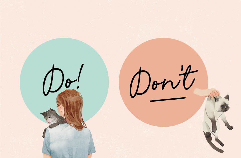 Mit den wichtigsten Dos & Don'ts