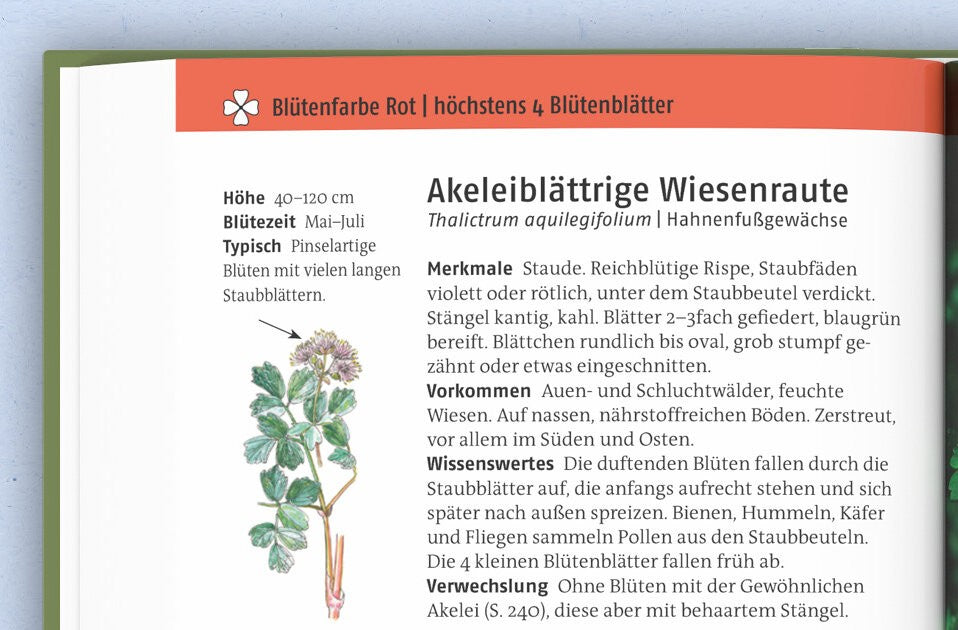 Wichtigen Informationen zur Pflanze