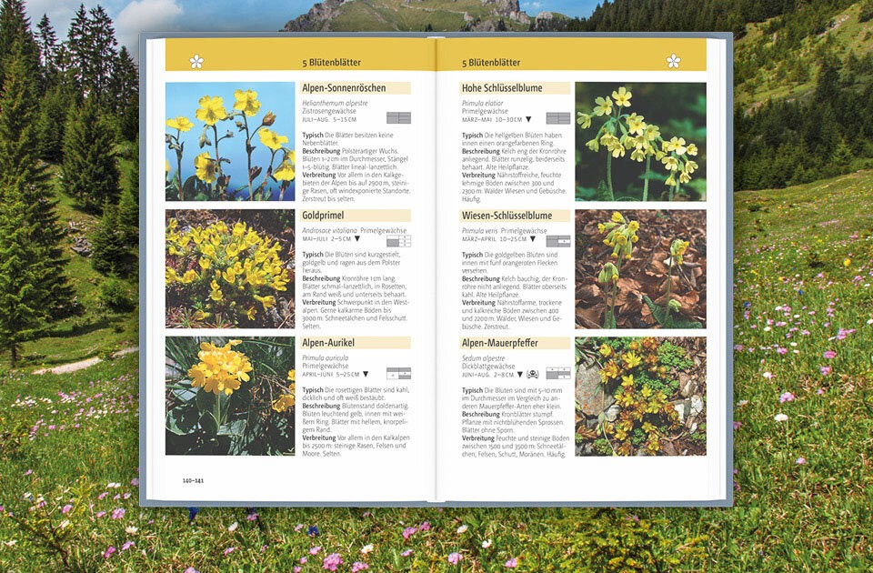 Über 500 Bergblumen im Porträt