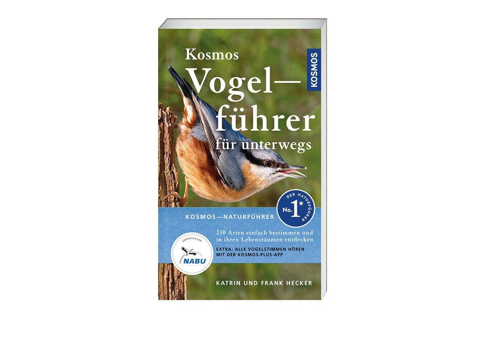 Vögel entdecken und beobachten