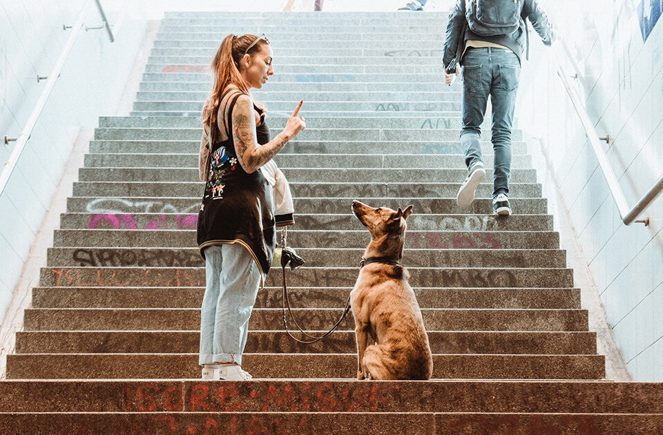 Die 5 Punkte der Beziehungsarbeit