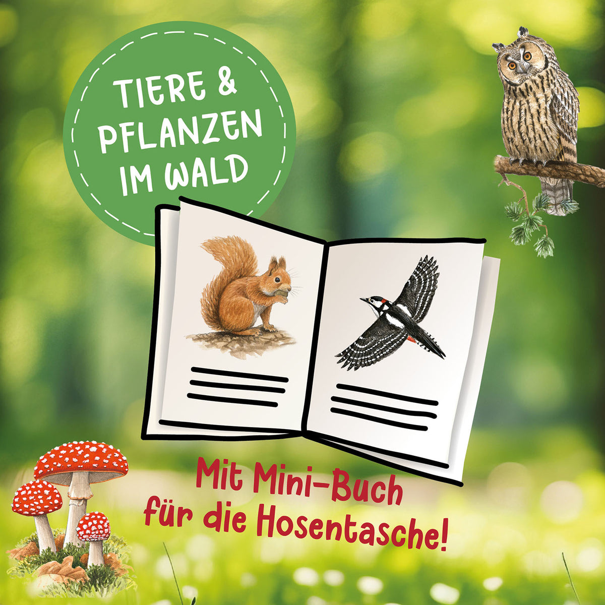 Lesen lernen mit Naturrätseln, Bücherhelden 2. Klasse, Tiere und Pflanzen im Wald