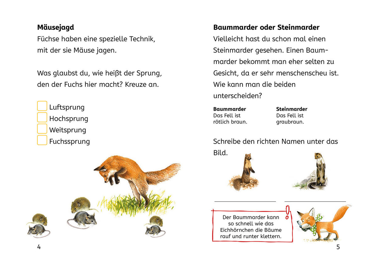 Lesen lernen mit Naturrätseln, Bücherhelden 2. Klasse, Tiere und Pflanzen im Wald