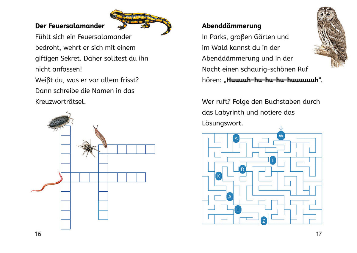 Lesen lernen mit Naturrätseln, Bücherhelden 2. Klasse, Tiere und Pflanzen im Wald