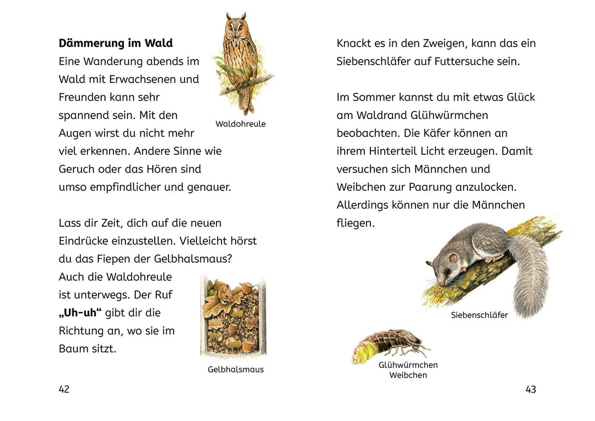 Lesen lernen mit Naturrätseln, Bücherhelden 2. Klasse, Tiere und Pflanzen im Wald
