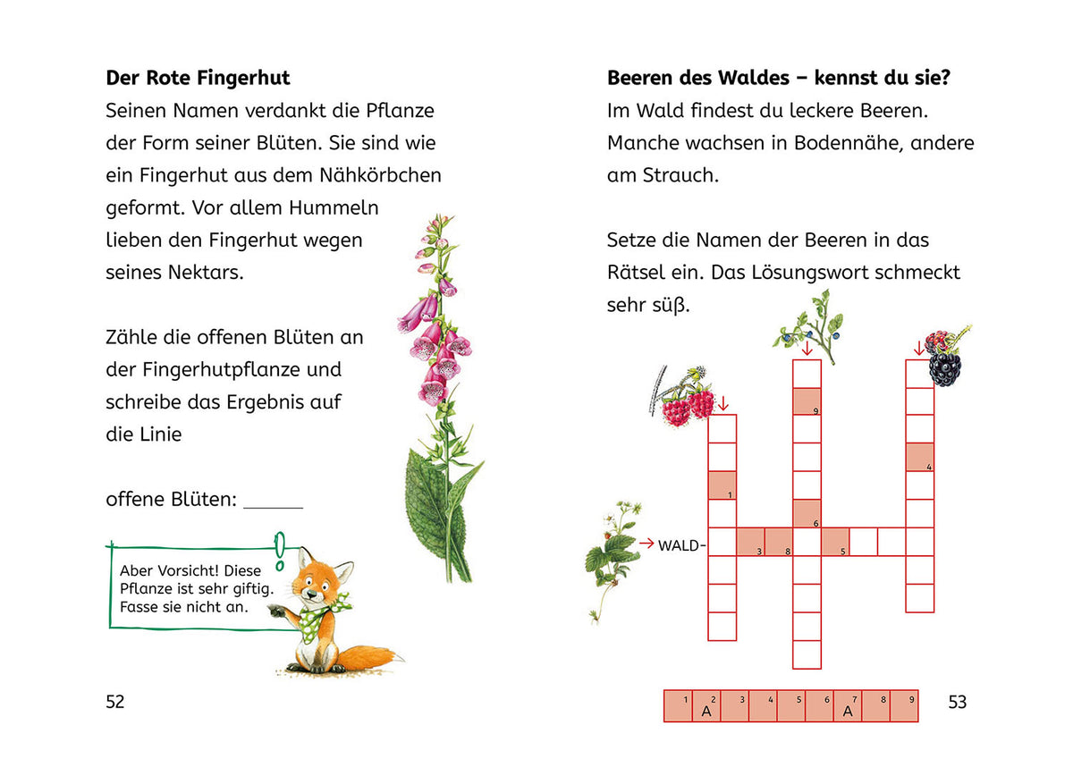 Lesen lernen mit Naturrätseln, Bücherhelden 2. Klasse, Tiere und Pflanzen im Wald