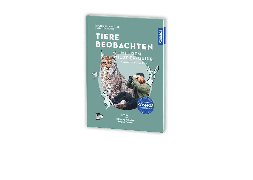 So entdeckst du wilde Tiere