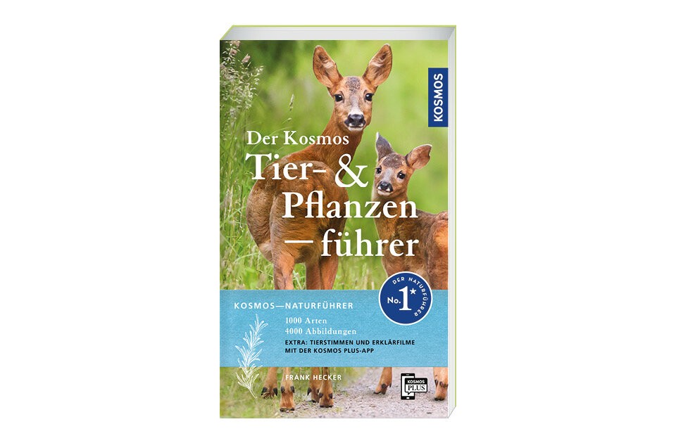 Arten bestimmen leicht gemacht!