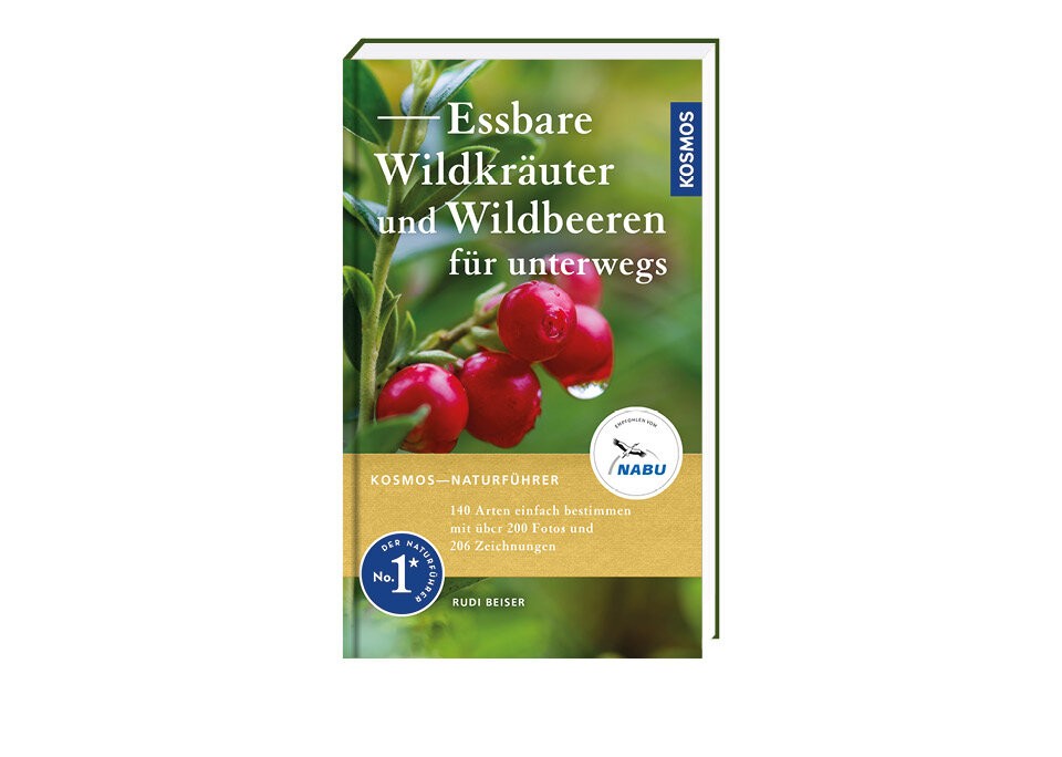 Wildkräuter und -beeren sammeln und genießen
