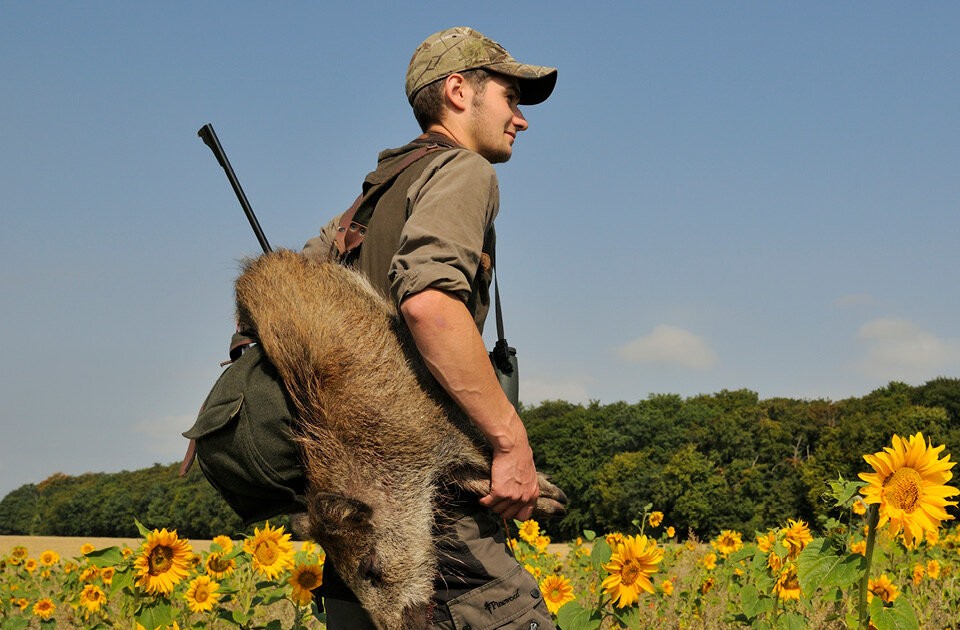 Zwischen Frühjahrshege und Winterjagd