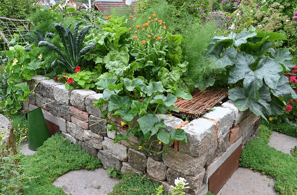 Mit Expertenwissen durchs Gartenjahr