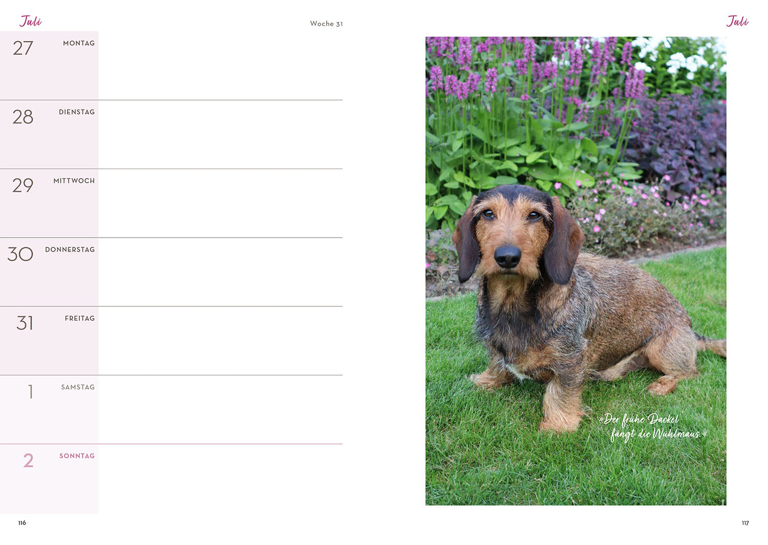 With Heart & Fork Through Katrin's Gardening Year 2026