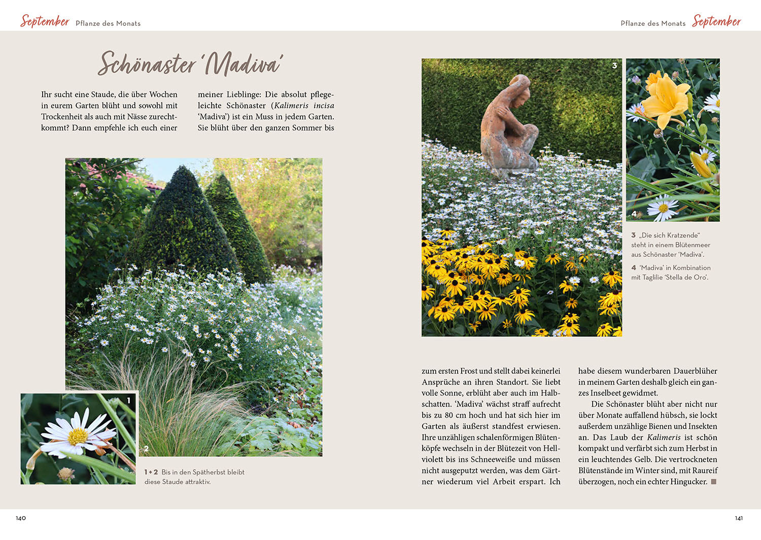 With Heart & Fork Through Katrin's Gardening Year 2026