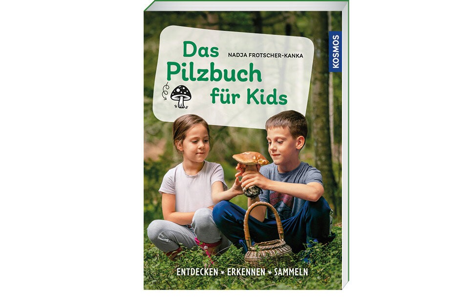 Kommt Kinder, wir gehen in die Pilze!