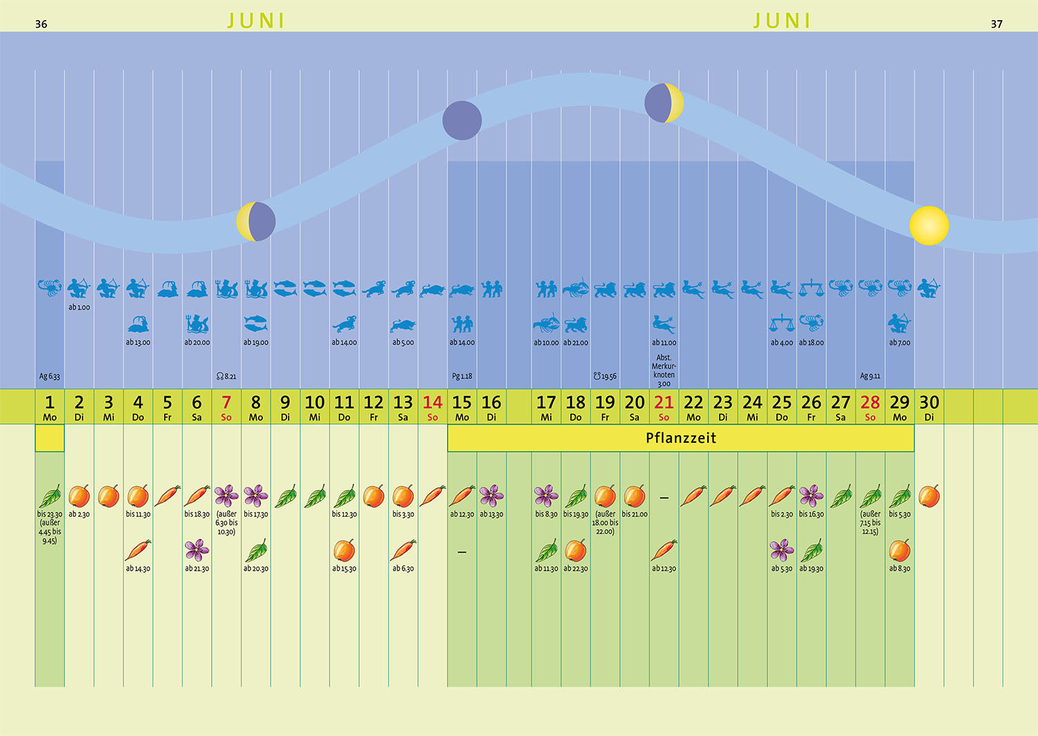 Kosmos Sowing Calendar 2026