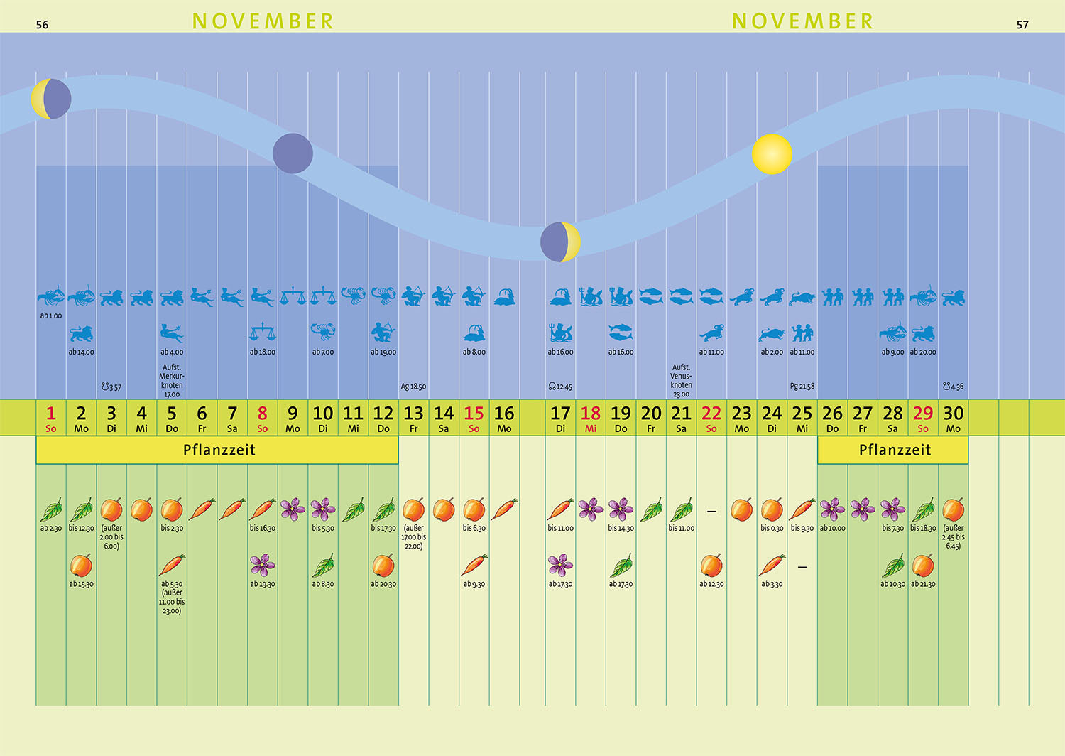 Kosmos Sowing Calendar 2026