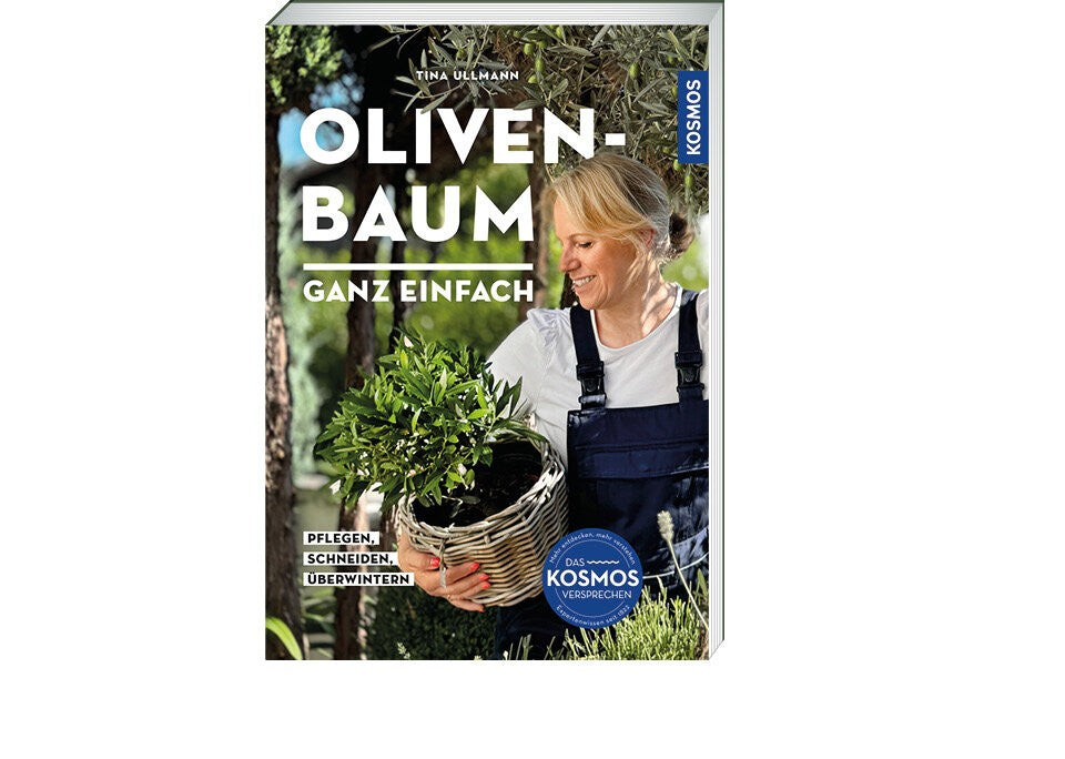 Olivenbaumpflege – alles, was du wissen musst