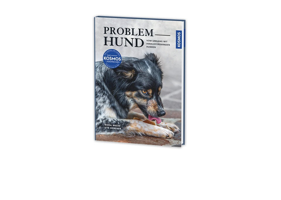 Wenn Verhalten zum Problem wird