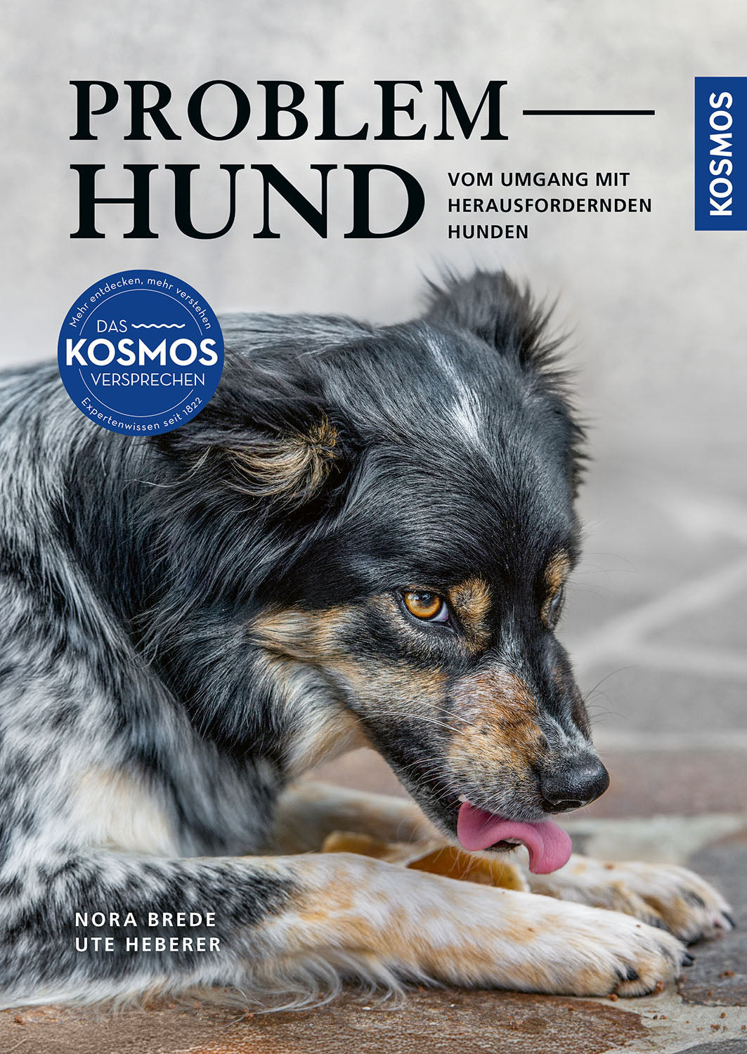 Problem Hund