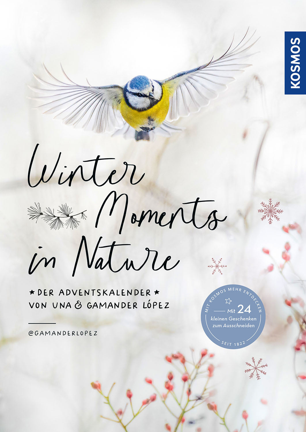 Winter Moments in Nature – the Advent Calendar