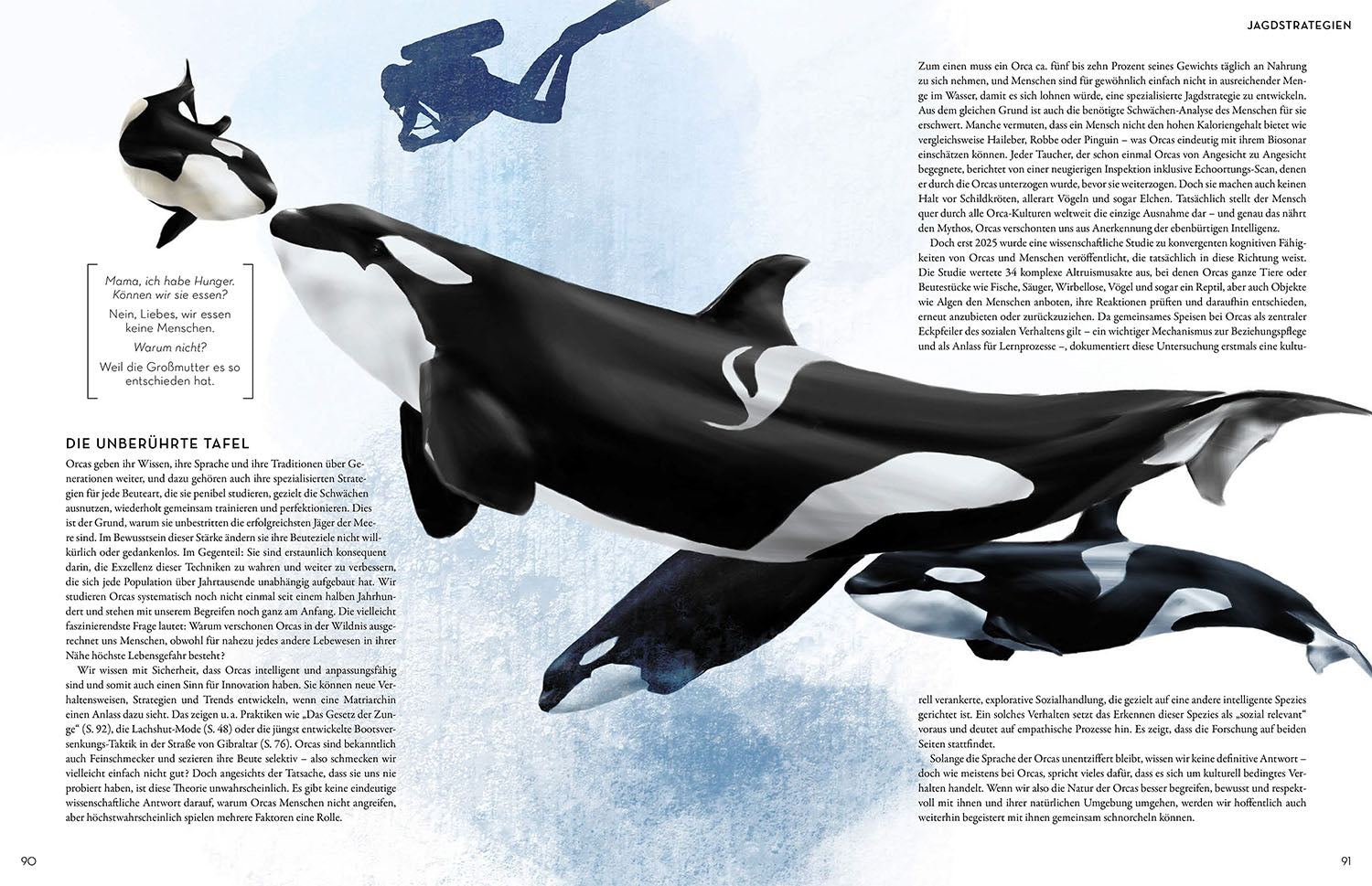 Orca