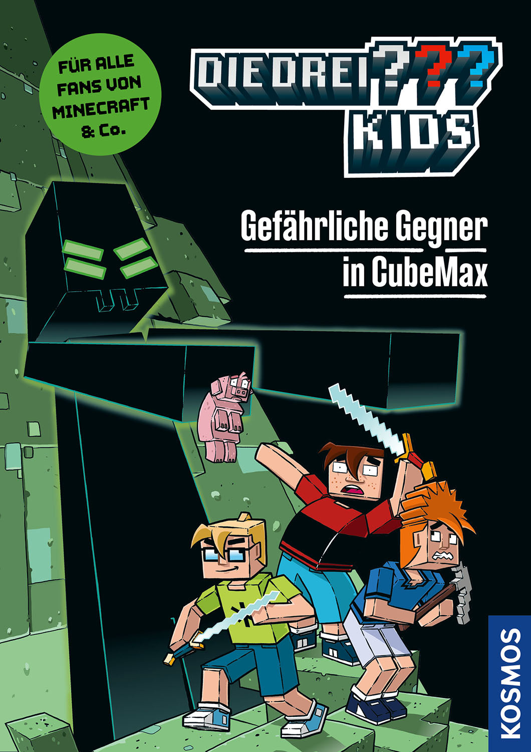 Die drei ??? Kids, Gefährliche Gegner in CubeMax
