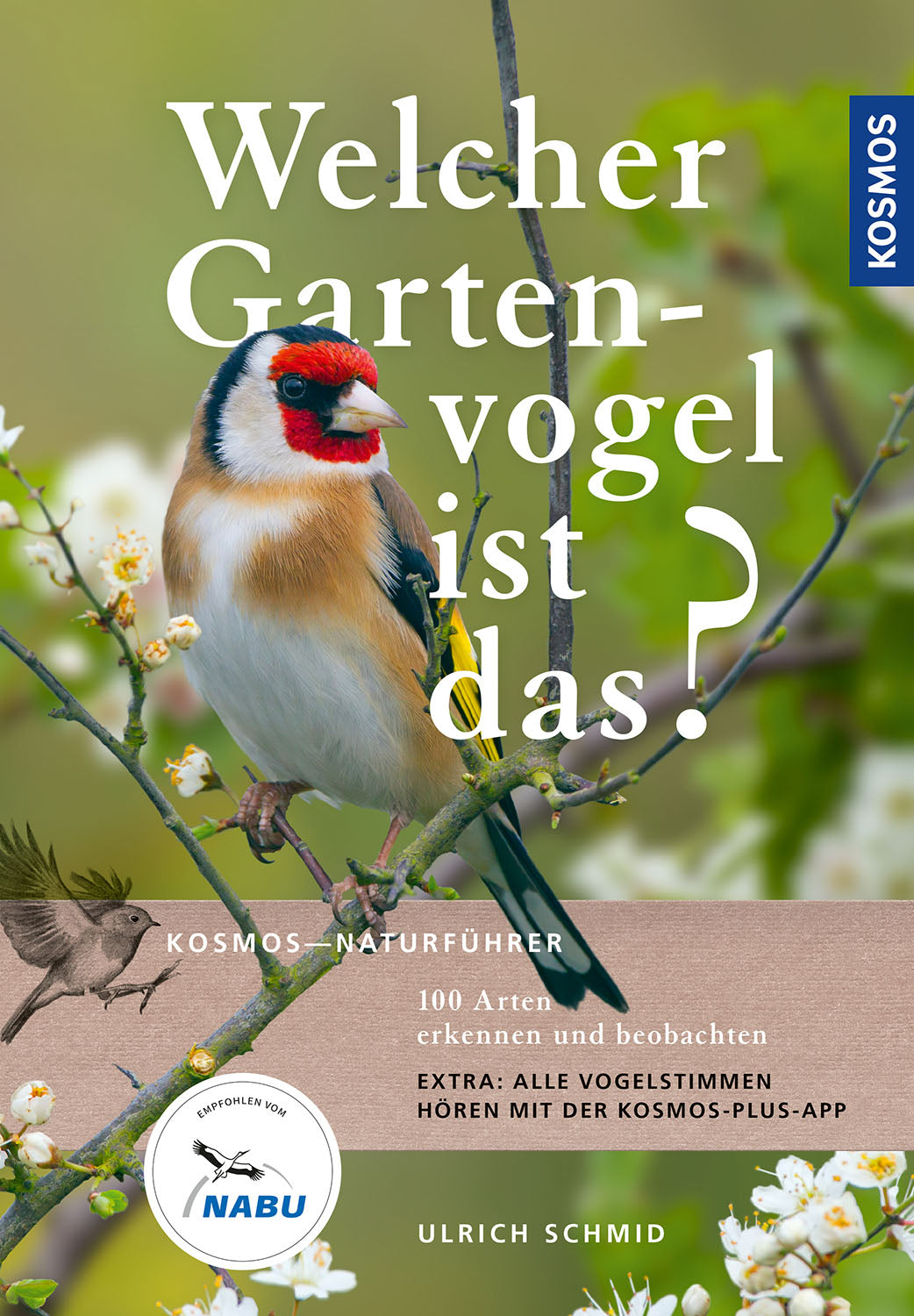 Welcher Gartenvogel ist das?