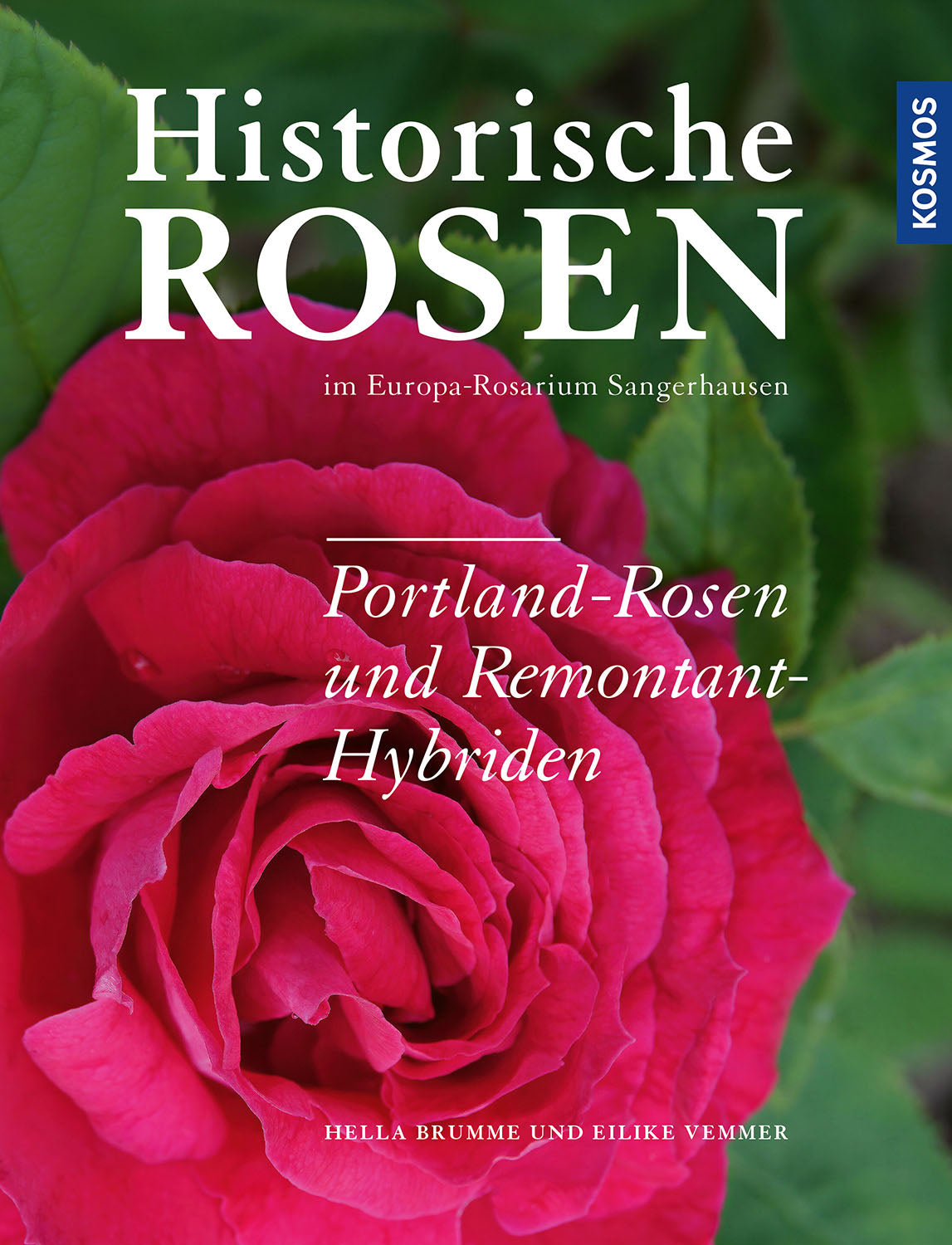 Historische Rosen im Europa-Rosarium Sangerhausen: Portland-Rosen und Remontant-Hybriden