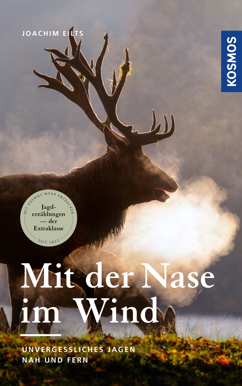 With their noses in the wind