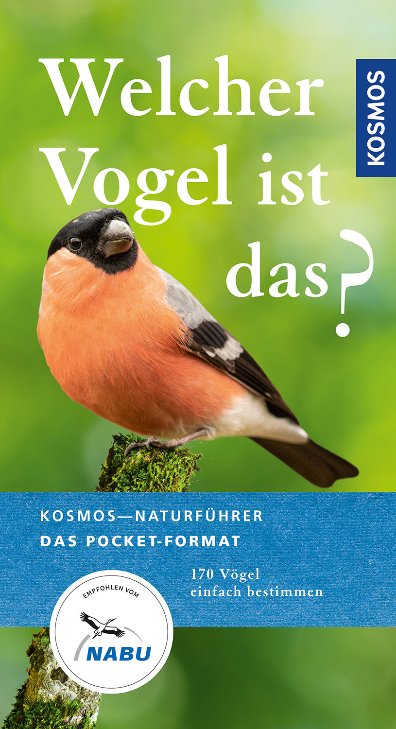 Which bird is that?