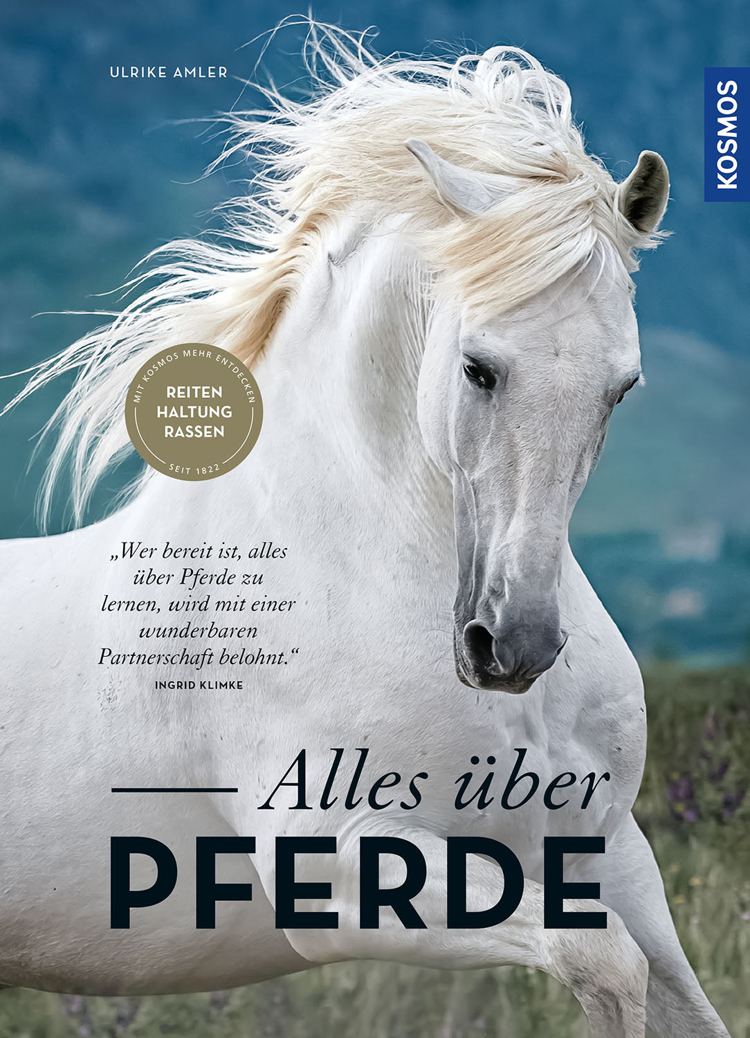 All About Horses