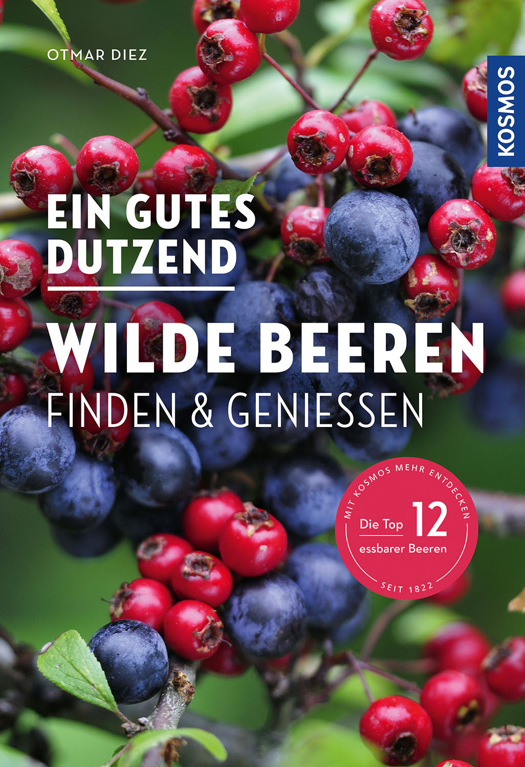 A good dozen wild berries