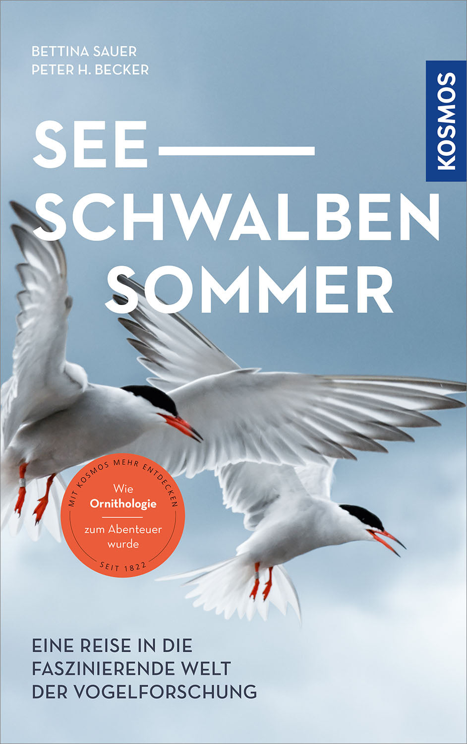 Tern Summer