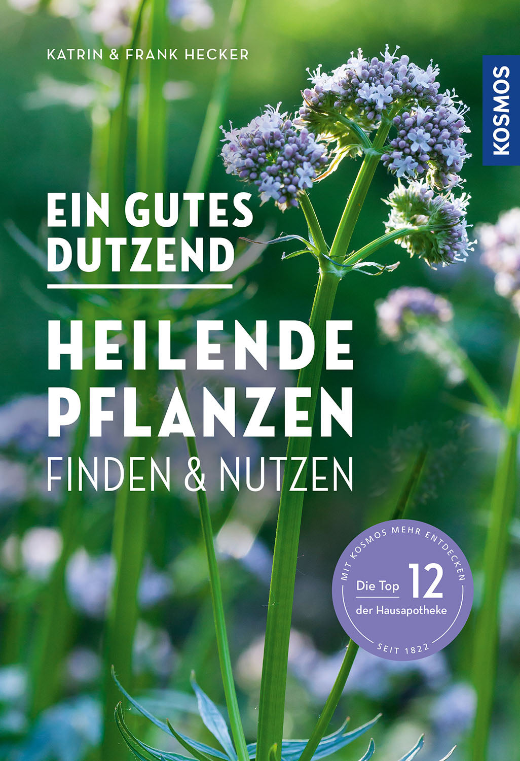 A good dozen medicinal plants