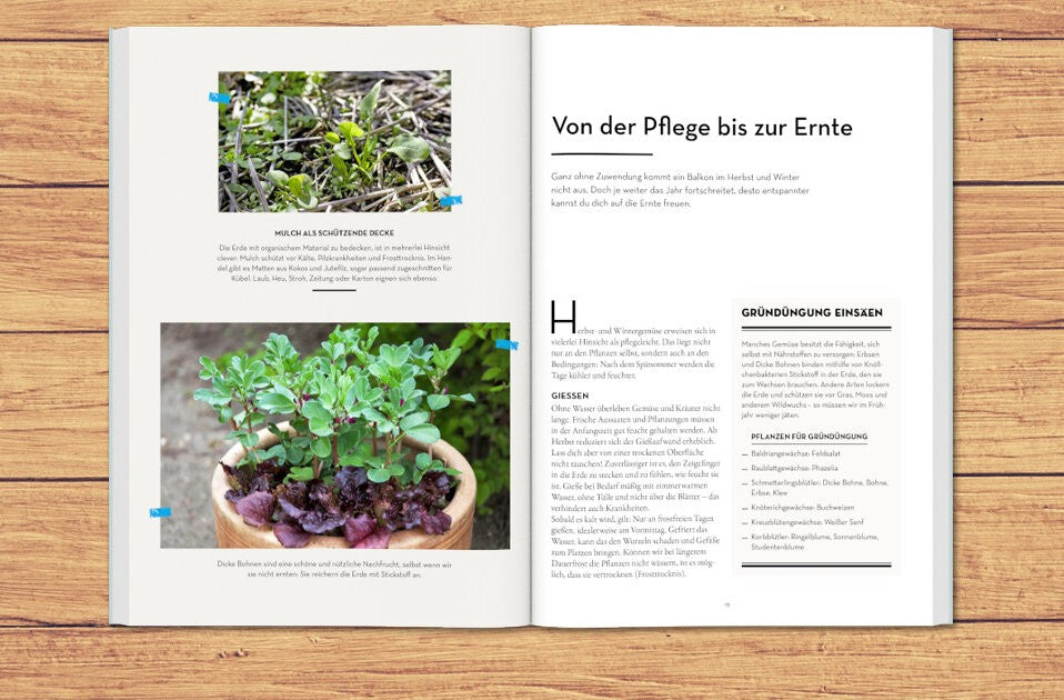 Die zweite Ernte