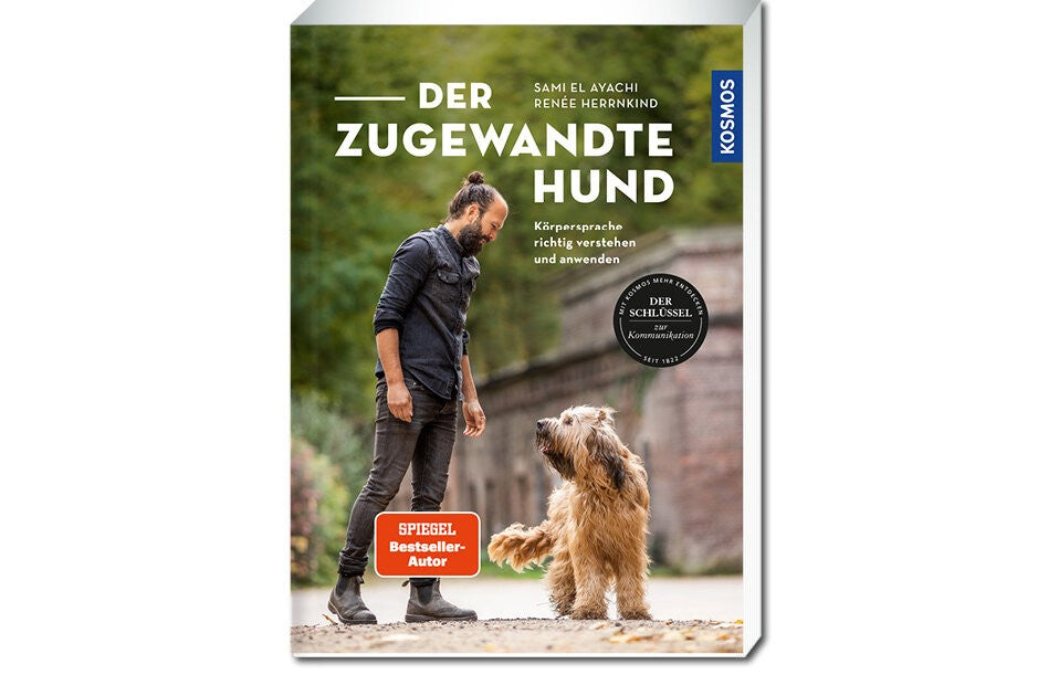 Körpersprache richtig verstehen und anwenden